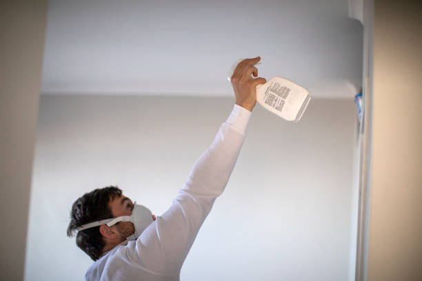 Best DIY Mold Remediation Support Services in Triana, AL