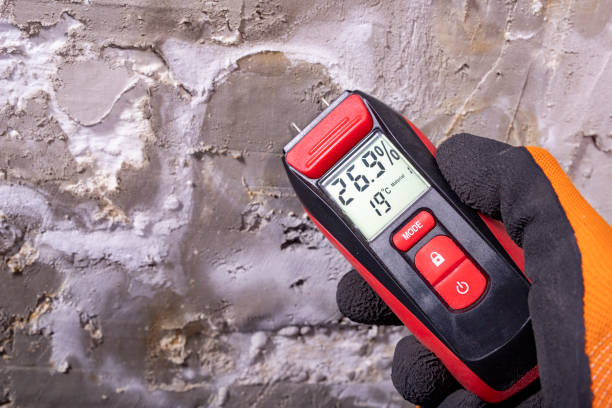 Best Health and Safety Mold Remediation in Triana, AL